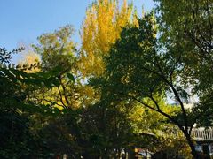 -辽宁大学(崇山校区)