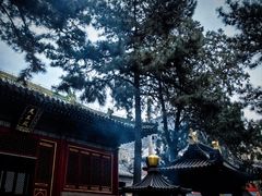 -潭柘寺景区