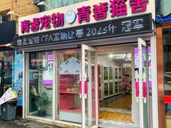 -青奢宠物·青奢猫舍