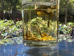 -国生茶庄·地道农家菜团建活动