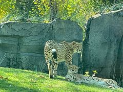 -北京野生动物园