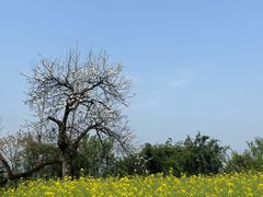 -樱桃山旅游景区