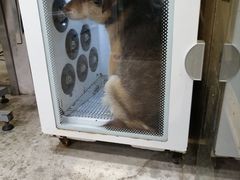 -PETKIT小佩宠物(昭化店)