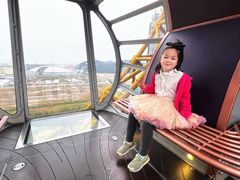 -影汇之星8字形摩天轮