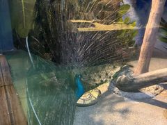 -苏州海洋馆