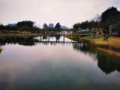 -眉山湿地公园(东坡区)