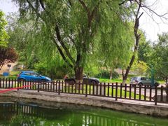 -酷鱼垂钓CLUB(朝阳区博大路店 )