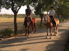 -上海长兴岛郊野公园