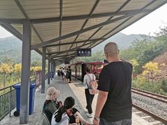-黄金寨原生态旅游区