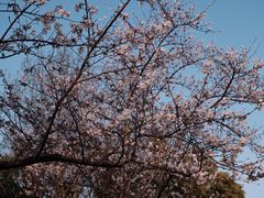 -长田漾湿地公园