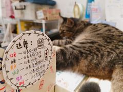 -猫的天空之城概念书店(苏州平江店)