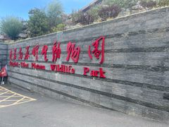 -青藏高原野生动物园