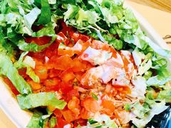 -油梨树AVOCADO TREE(望京店)