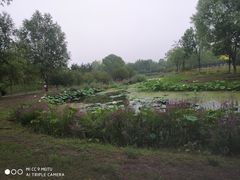 -东郊湿地公园