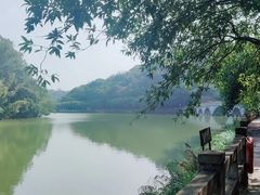 -李小龙乐园(顺德均安店)