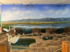 -延庆地质公园博物馆