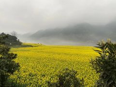 -新安江山水画廊风景区