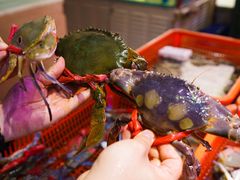 -巽寮印象美食部落餐厅·海鲜·地方特色菜(惠州体验店)