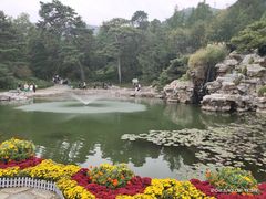 -香山公园