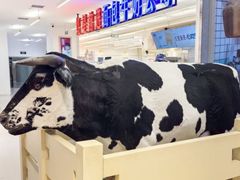 -红星前进面包牛奶公司(君太店)