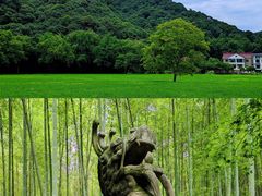 -云栖竹径