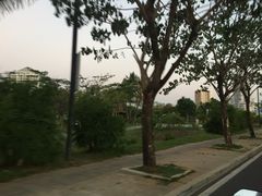 -金鸡岭桥头公园