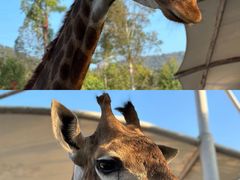 -泉州海丝野生动物世界