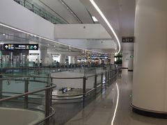 -麦当劳(北京大兴机场二层国内到达(安检外)店)