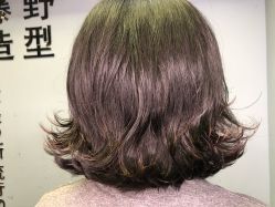 -藤野造型