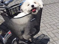 -星巴克(北京天坛东路店)