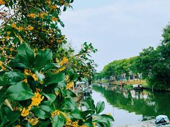 -七的湖·晚芳亭·阳澄湖农家菜·大闸蟹(莲花岛店)