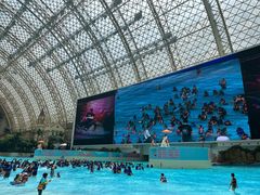 -环球中心海洋乐园