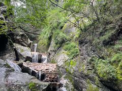 -牛背梁国家森林公园