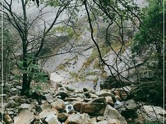 -大鄣山卧龙谷景区