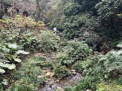 -桂林古东瀑布景区