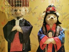 -济州岛泰迪熊博物馆