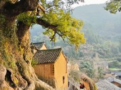-杨家堂村