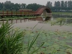 -白洋淀景区