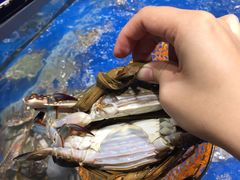 -盒马鲜生(岭南新世界店)