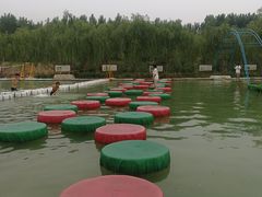 -东方巨龟苑景区