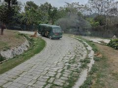 -深圳野生动物园