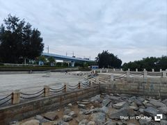 -宝安西湾红树林湿地公园