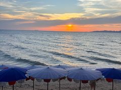 -卷心菜和避孕套餐厅(Pattaya)