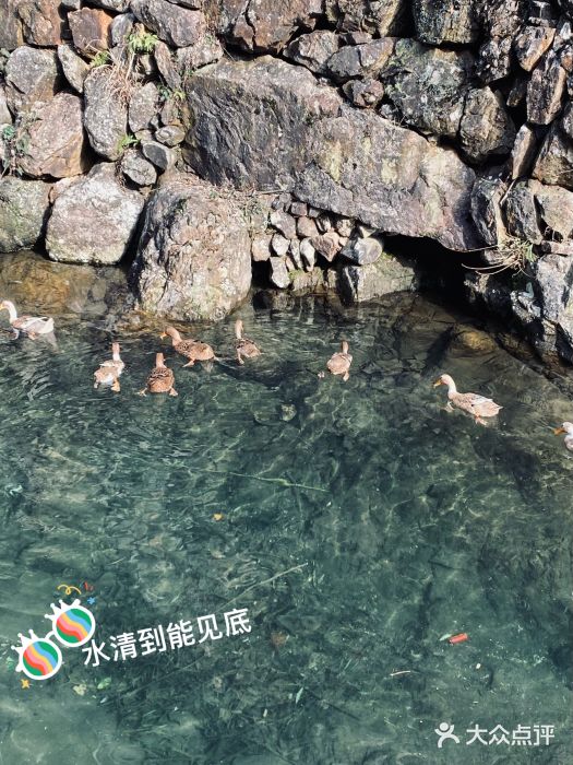 布袋山风景区图片