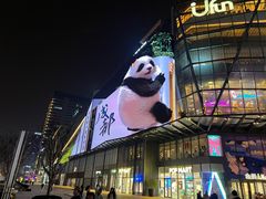 -合景·悠方(成都店)