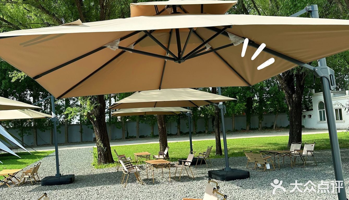 北京宠物友好咖啡厅