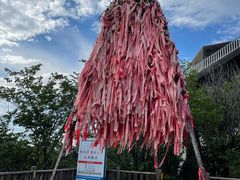 -帽儿山国家森林公园