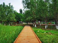 -东郊湿地公园