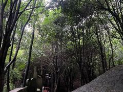 -缙云山景区