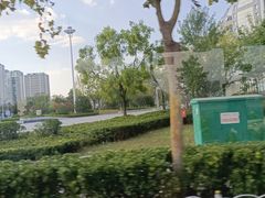 -融创茂(青岛店)